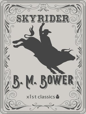 cover image of Skyrider